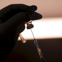 EK apstiprina pērtiķu baku vakcīnu
