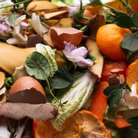 Rīgā izmēģina jaunu bioatkritumu šķirošanas pieeju