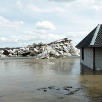 На Даугаве стремительно повышается уровень воды; затоплены новые территории