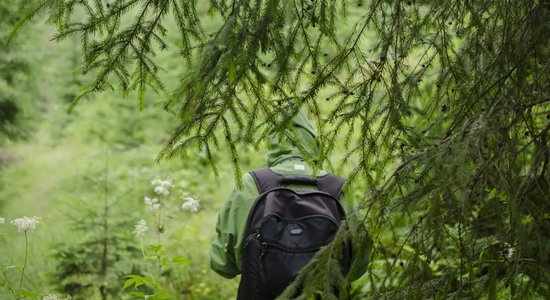 Latvijā plānots pilnveidot valsts materiālo rezervju sistēmu