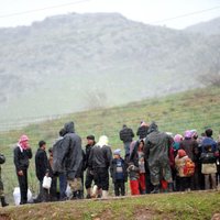 ANO: sīriešu bēgļu skaits sasniedz 270 000