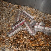 Foto: VID šķeldas kravās uziet 700 000 kontrabandas cigarešu