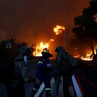 Число погибших в результате лесных пожаров в Греции выросло до 85 человек
