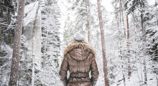 Рижан призывают не гулять по лесам и кладбищам