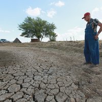 Синоптики: такой засухи в США не было более полувека