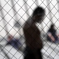 Tukumniekam par naida kurināšanu pret bēgļiem draud līdz pat trim gadiem cietumā