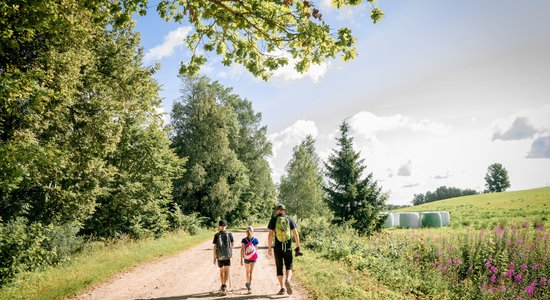 Garākā lapegļu aleja un iespaidīgs smilšakmens atsegums. 'Mežtakas' posmi Latvijas ziemeļos