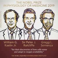 Нобелевская премия по медицине вручена за открытие, помогающее в борьбе с раком