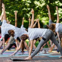 Nūjošana, joga un vingrošana – bezmaksas treniņi Rīgā un citās Latvijas pilsētās