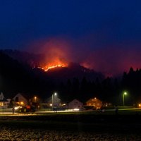 Foto: Zviedrijas un Norvēģijas mežus plosa meža ugunsgrēki