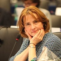 Grigules skaidrošanās par propagandas apkarošanas balsojumu EP izmaksās 22 000 eiro
