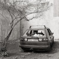 Ar lekciju un izstādi atklās vācu fotogrāfa Niko Baumgartena jaunāko grāmatu par Rīgu