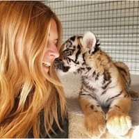 Vaļi Aļaskā un tīģeri Taizemē: Margarita no Rīgas, kas glābj dzīvniekus visā pasaulē