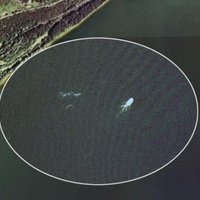Ar "Google Earth" atrasts Lohnesa briesmonis