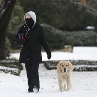 Снежная буря на юге США: больше 20 погибших, миллионы без электричества