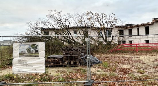 Mārupē nozāģētā dižozola lieta: par nolaidību lūdz tiesāt būvvaldes amatpersonu