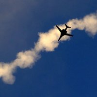 Россия предложит Нидерландам возобновить расследование крушения Boeing на Донбассе