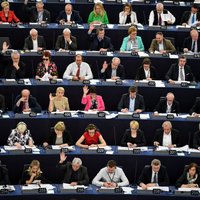 'Delfi' no Strasbūras: ES piektais solis cīņā ar 'neredzamo' ekonomiku