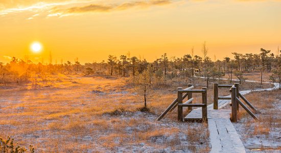 Maģiski dabas skati: saullēkts ziemas rītā Lielajā Ķemeru tīrelī