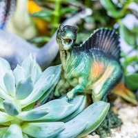 Dinozauru ēras jaunais sākums: Dzīve starp augiem un košumkrūmiem