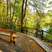 Tuvojas zelta rudens laiks – Siguldā jau veidojas apmeklētāju sastrēgumi