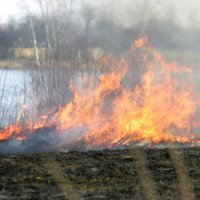 Drēgno laikapstākļu dēļ samazinājies kūlas ugunsgrēku skaits