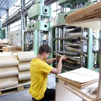 Ekonomisti: Latvijas kokmateriālu eksports nepārtraukti audzis jau devīto gadu pēc kārtas