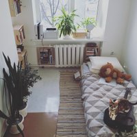 ФОТО. Как Юрита переехала в квартиру площадью 12 кв.м и сделала их своим домом