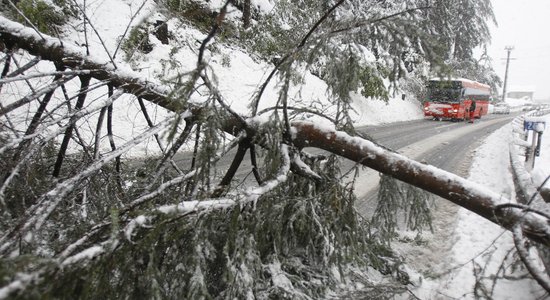 В Австрию необычайно рано пришла зима