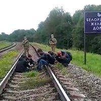 Video: Baltkrievu robežsargi ar varu dzen bēgļus pāri Latvijas robežai