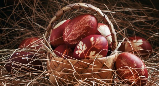 Ola olas galā: kāpēc tās ieteicamas un cik daudz būs par daudz