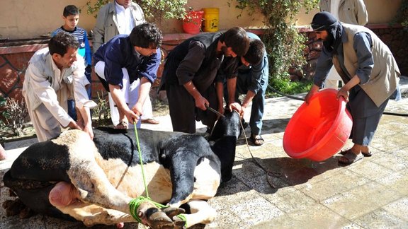 Kurban bairam Eid al-Adha (Afghanistan)