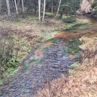 Vīrietim par 10 taimiņu noduršanu draud bargs sods