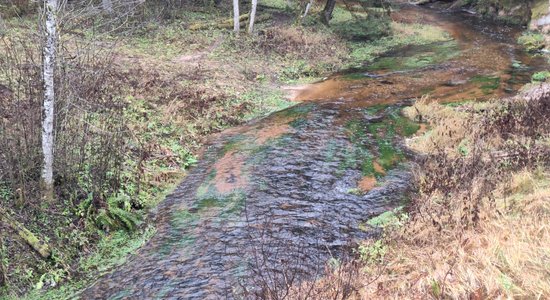 Vīrietim par 10 taimiņu noduršanu draud bargs sods