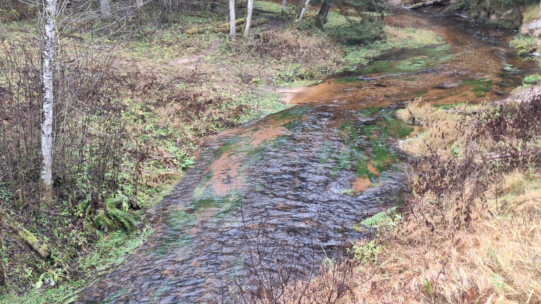 Vīrietim par 10 taimiņu noduršanu draud bargs sods