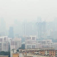 Singapūru un Malaiziju ietinuši Indonēzijas mežu ugunsgrēku dūmi