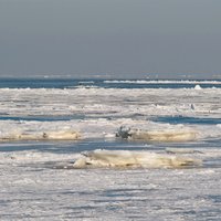 Gandrīz pilnībā aizsalis Rīgas jūras līcis