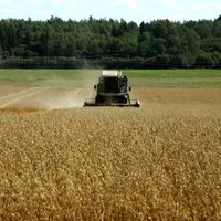 'Zemnieku saeima': Liela daļa zemnieku saņems mazāku atbalstu nekā līdz šim