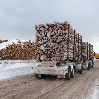 Latvijas meža produkcijas eksportam pērn kārtējais rekords - 2,102 miljardi eiro