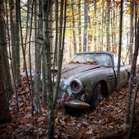 Foto: 45 gadus mežā nogulējis 'Aston Martin' tiks pārdots par pusmiljonu dolāru