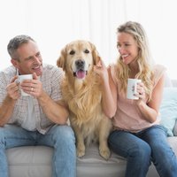 Suns dzīvoklī: Seši padomi, lai mīlulis justos laimīgs