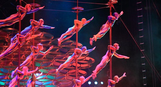 Cirque du Soleil оштрафовали на 25 тысяч долларов за гибель артистки