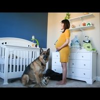 Video: Viņš mīļoto filmēja katru grūtniecības dienu