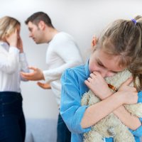 Нотариусы: Латвии нужна система превентивной защиты интересов детей при разводах