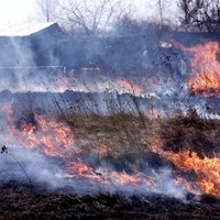 Поджог старника: в Курземе сгорело шесть садовых домиков