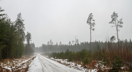 Otrdiena būs mākoņaina, palaikam līs un snigs