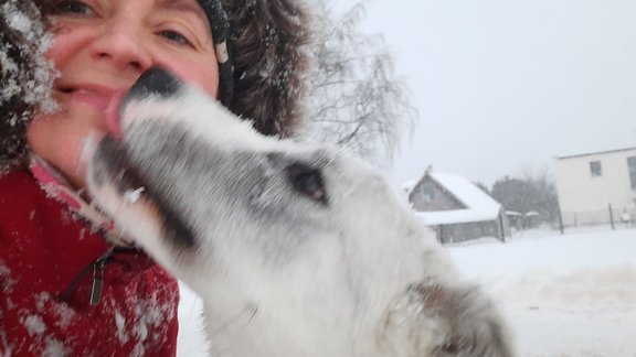 Baibai šķita, ka glābj suni, tiesai – ka viņa jāsoda par zādzību