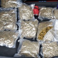 В Бауском крае в автомобиле нашли 10 кг марихуаны