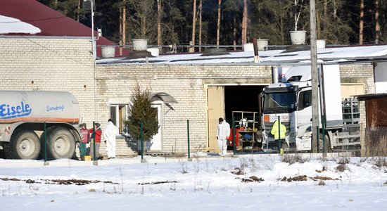 Pabeigta cūku likvidēšana mēra skartajā saimniecībā 'Bunči'