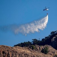 На Канарах объявили наивысший уровень угрозы лесных пожаров